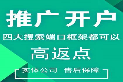 竞价排名中关键词出价策略的案例探讨